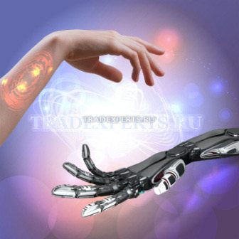 Разработка и создание прибыльных торговых советников Форекс на заказ: цены от Tradexperts