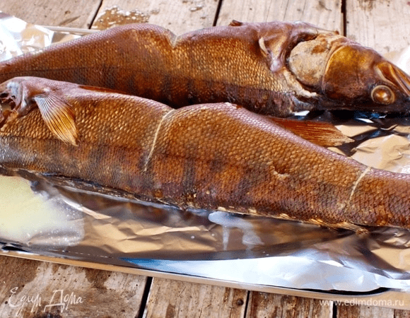 Где купить судака в Спб?