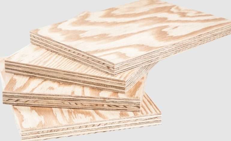 Как выбрать качественную фанеру хвойную для ремонта и строительства